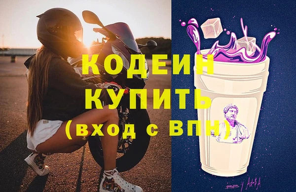 хмурый Алзамай