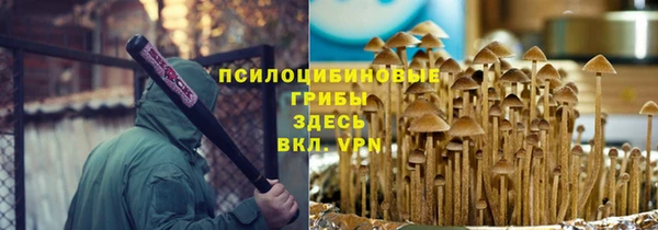 прущие грибы Алексеевка