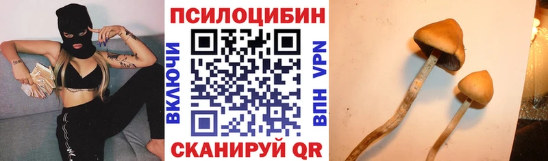 Галлюциногенные грибы мицелий  Камешково 